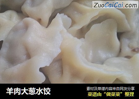 羊肉大葱水饺