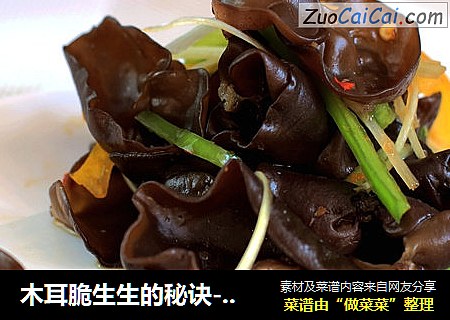 木耳脆生生的秘诀--脆拌秋木耳