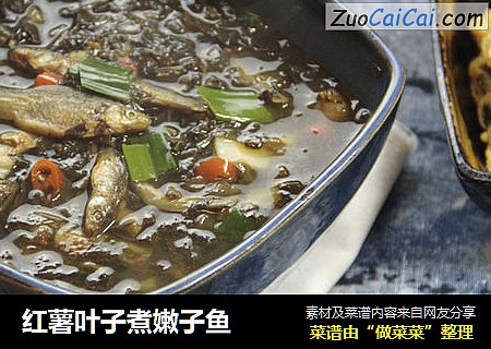 红薯叶子煮嫩子鱼