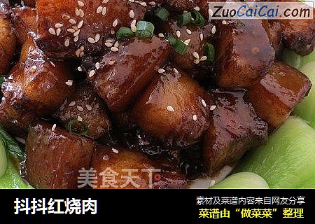 抖抖红烧肉