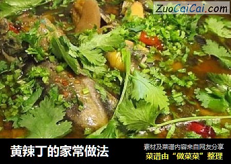 黄辣丁的家常做法