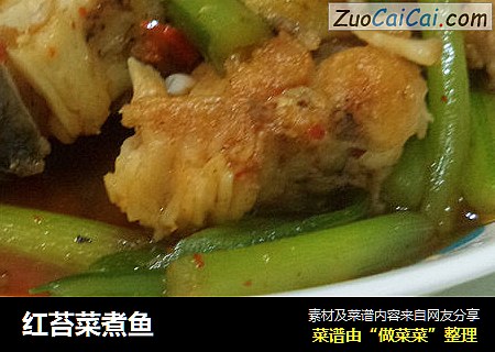 红苔菜煮鱼