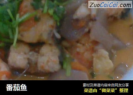 番茄鱼