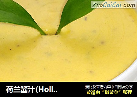 荷兰酱汁(HollandaiseSauce)