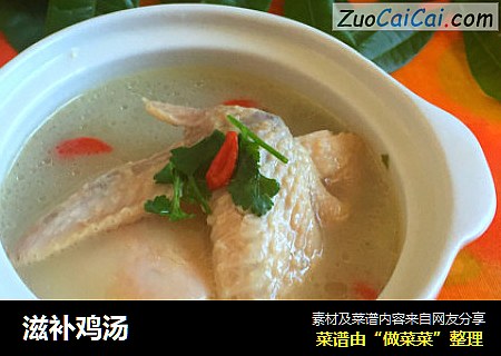滋补鸡汤