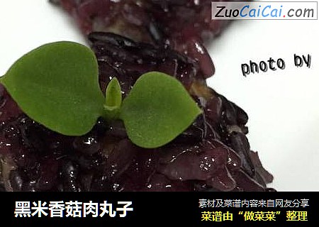 黑米香菇肉丸子