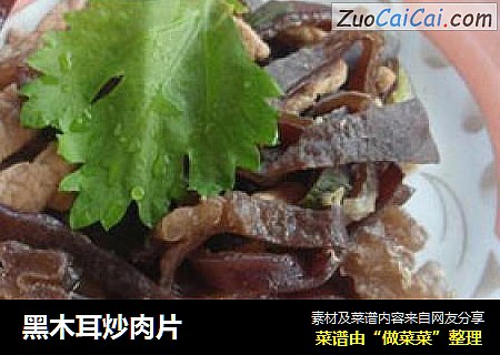 黑木耳炒肉片