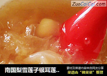 南国梨雪莲子银耳莲子汤