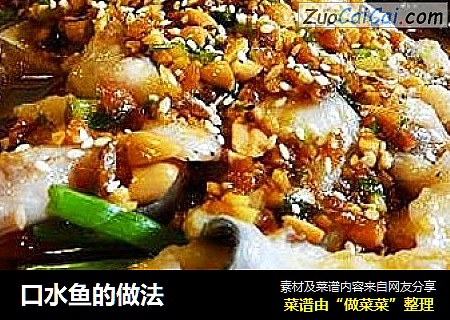 口水鱼的做法