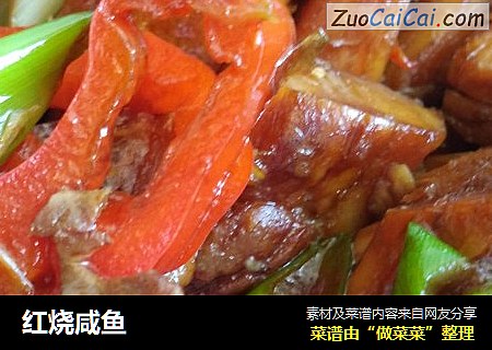 红烧咸鱼