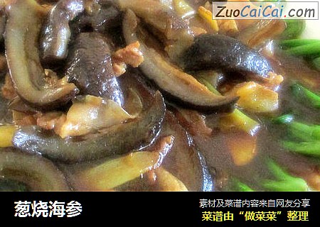 葱烧海参