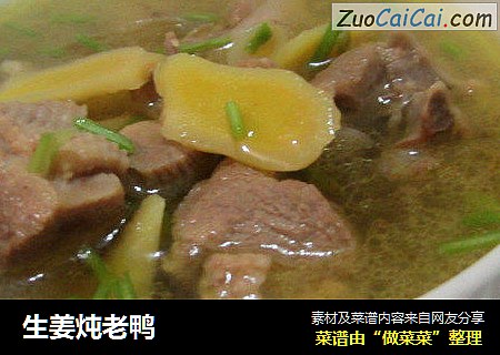 生姜炖老鸭