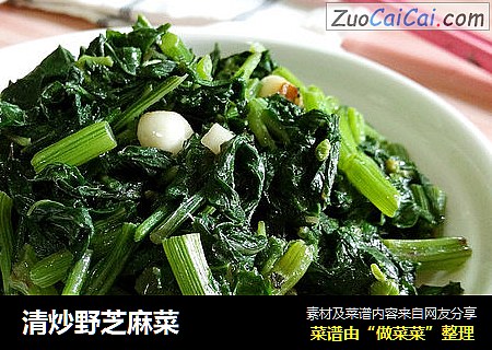 清炒野芝麻菜