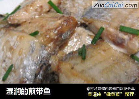 湿润的煎带鱼