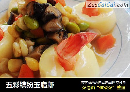 五彩缤纷玉脂虾