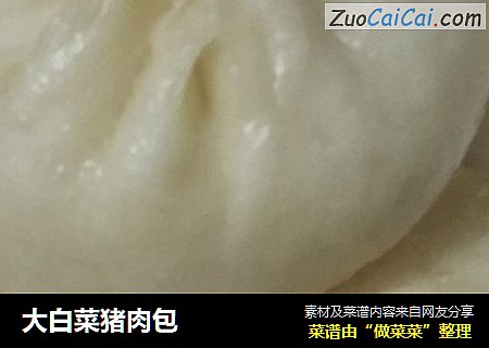 大白菜猪肉包