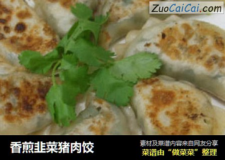 香煎韭菜猪肉饺