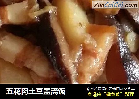 五花肉土豆盖浇饭