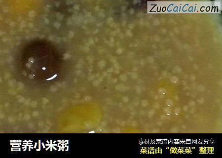 营养小米粥