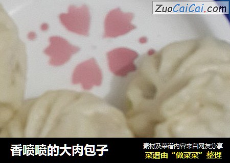 香喷喷的大肉包子