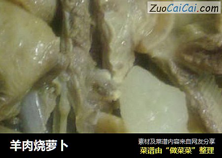 羊肉烧萝卜