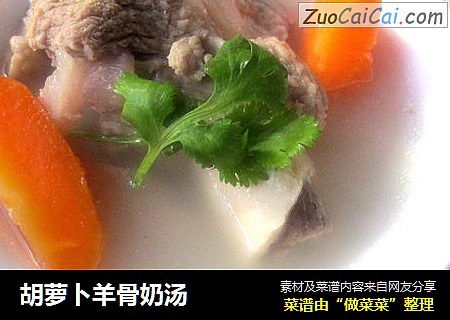 胡萝卜羊骨奶汤
