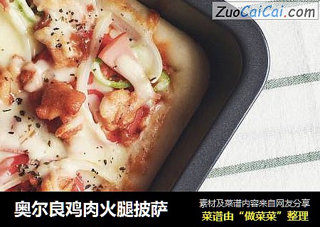 奥尔良鸡肉火腿披萨