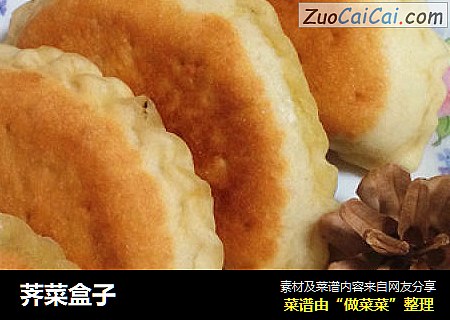 荠菜盒子