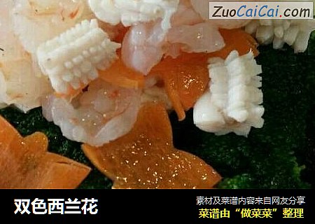 双色西兰花