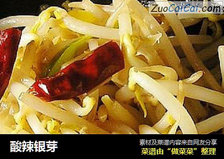酸辣银芽