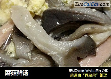 蘑菇鲜汤