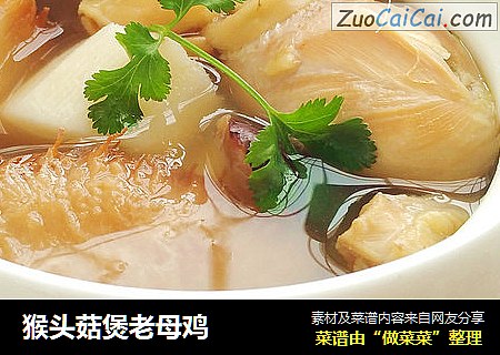 猴头菇煲老母鸡
