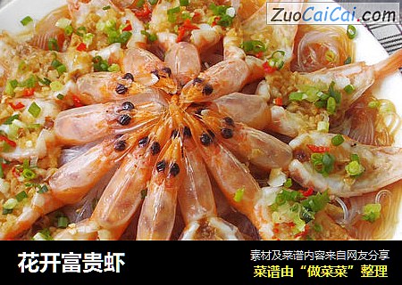 花开富贵虾