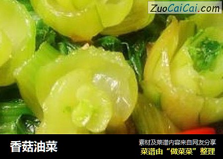 香菇油菜