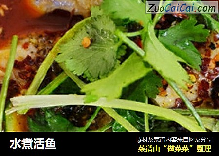 水煮活鱼