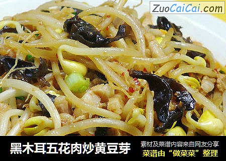 黑木耳五花肉炒黄豆芽
