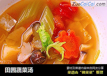 田园蔬菜汤