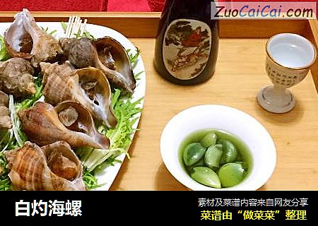 白灼海螺