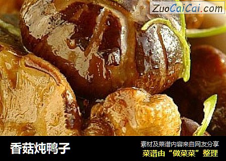 香菇炖鸭子