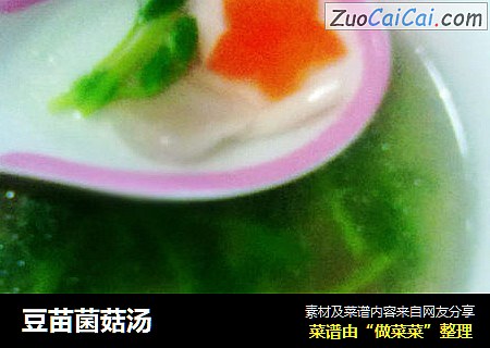 豆苗菌菇汤
