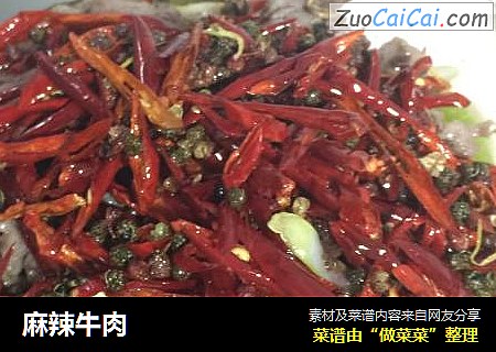 麻辣牛肉