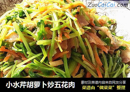 小水芹胡萝卜炒五花肉