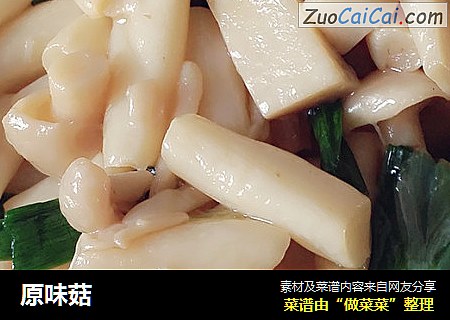原味菇