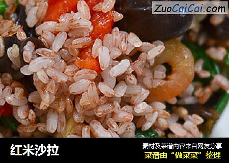 红米沙拉
