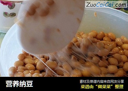 营养纳豆