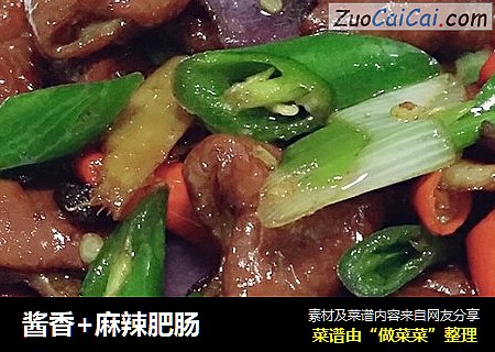 酱香+麻辣肥肠