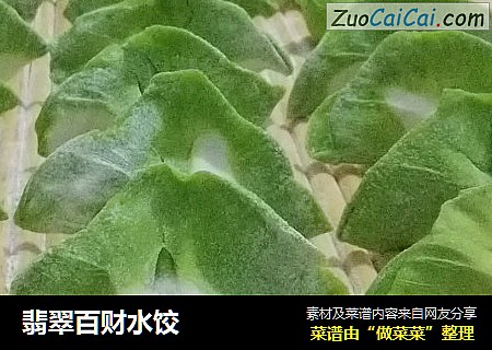 翡翠百财水饺