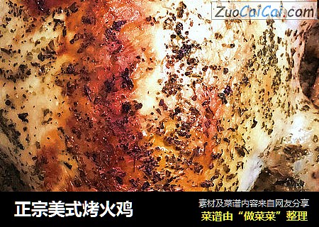 正宗美式烤火鸡