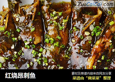 红烧昂刺鱼