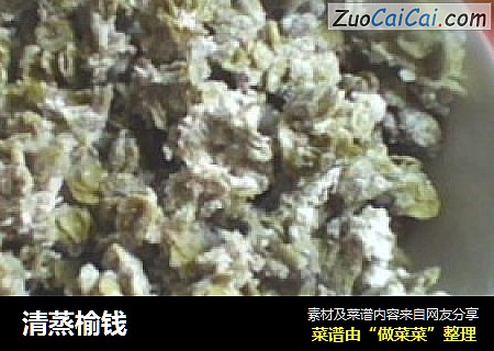 清蒸榆钱